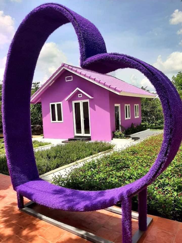 CĂN NHÀ MÁU TÍM - NHÀ DÁT VÀNG - CHỢ NỔI CÁI RĂNG 2N1Đ