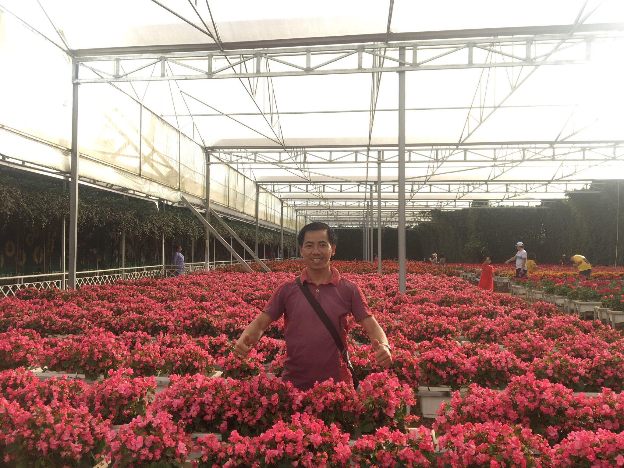 Hồ Chí Minh - Đà Lạt - Buôn Mê - Hồ Chí Minh