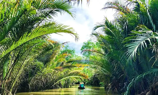 Trải nghiệm Miền Tây - Bến Tre - Mỹ Tho - 1 ngày đầy thú vị